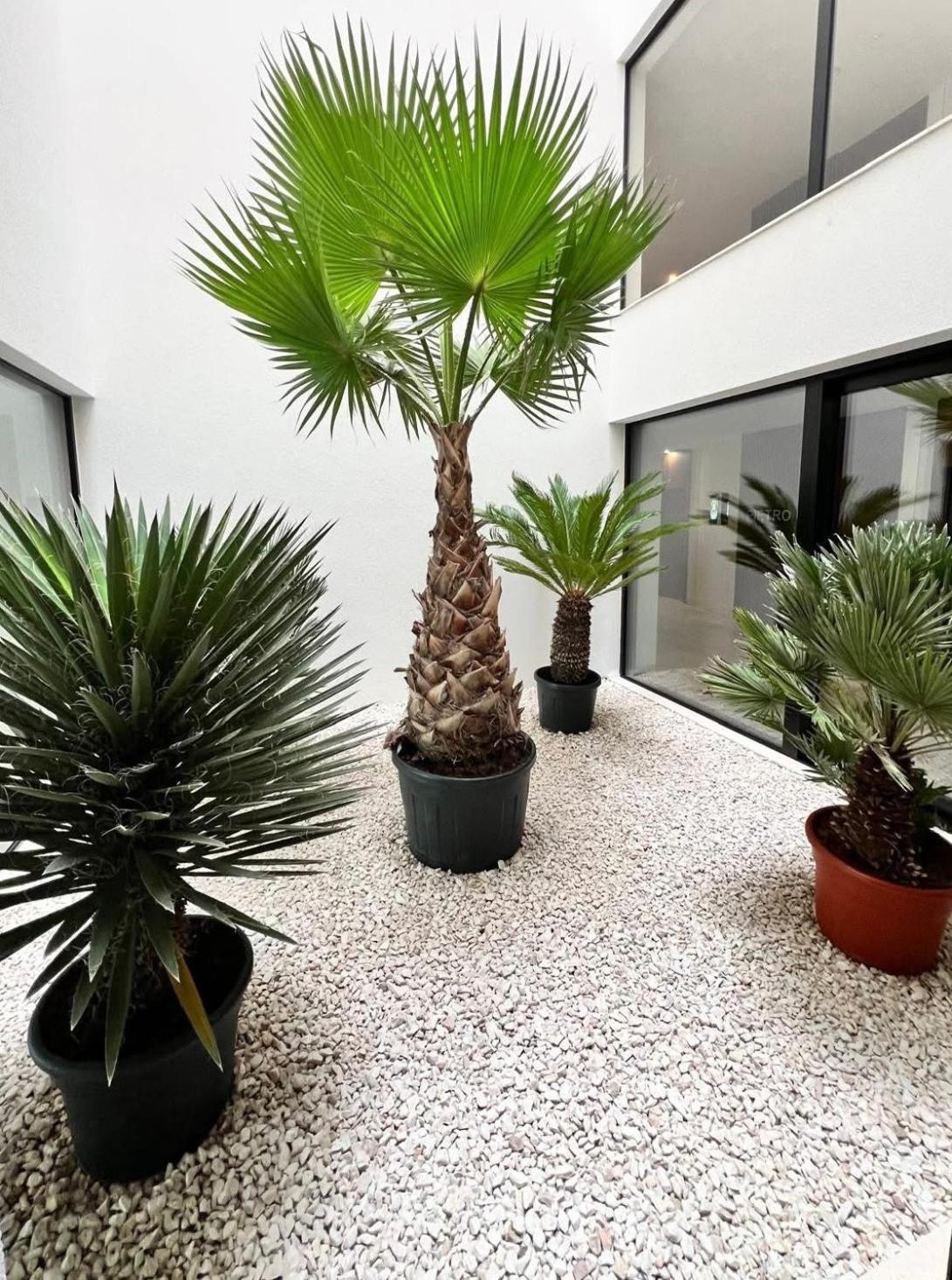 Apartament Baltic Waves 2 Międzyzdroje